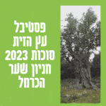 פסטיבל עץ הזית סוכות 2023 חניון שער הכרמל 